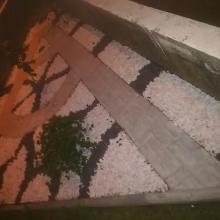 Casa Nogueira Travancinha